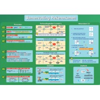 Rekenexamen MBO - Samenvatting